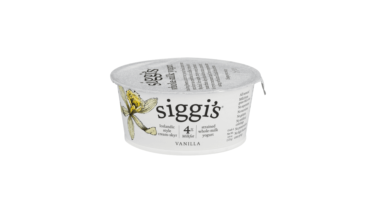 뉴욕에서 시작된 아이슬란드 스키르, 시기스 요거트