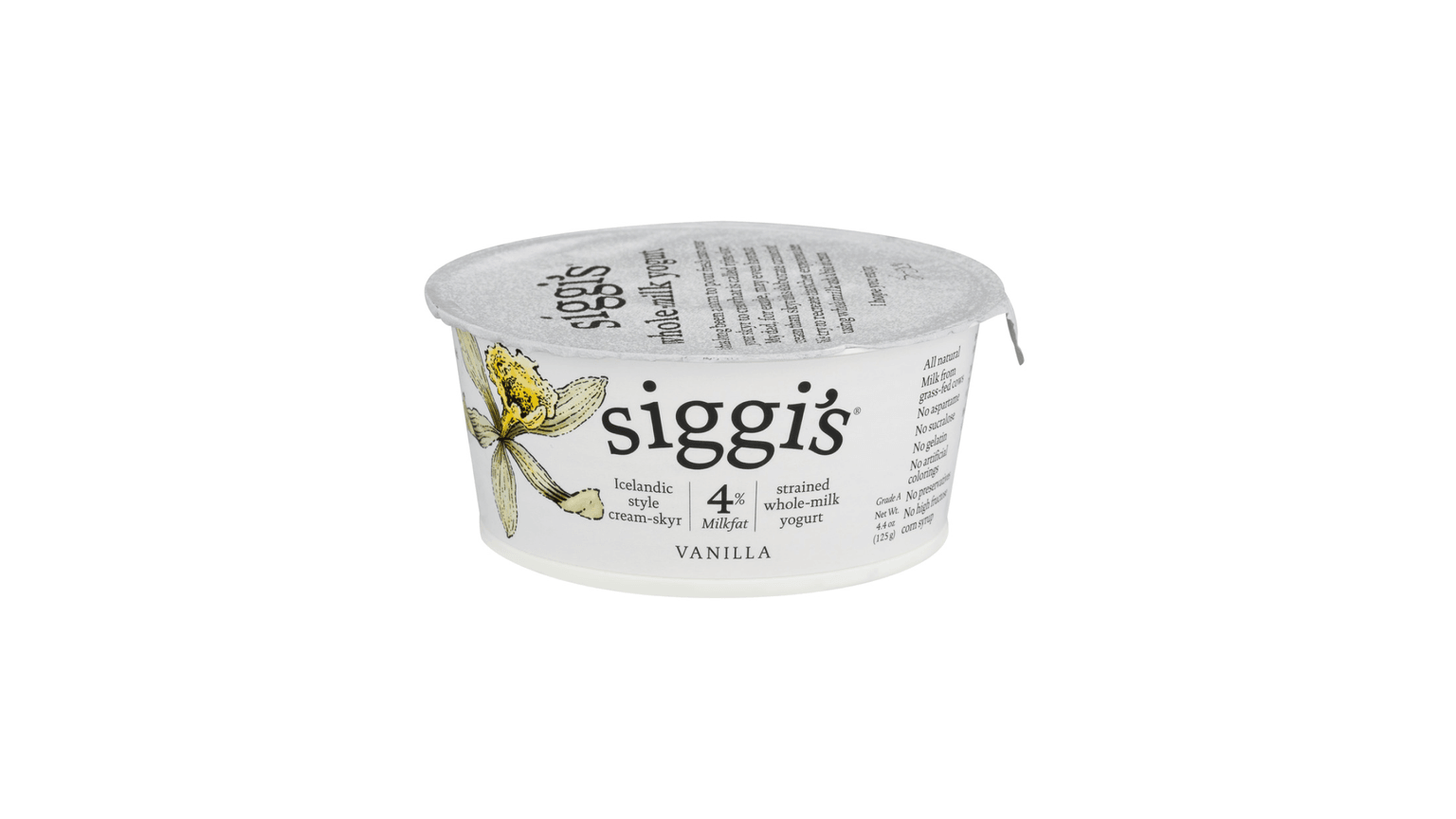 뉴욕에서 시작된 아이슬란드 스키르, 시기스 요거트